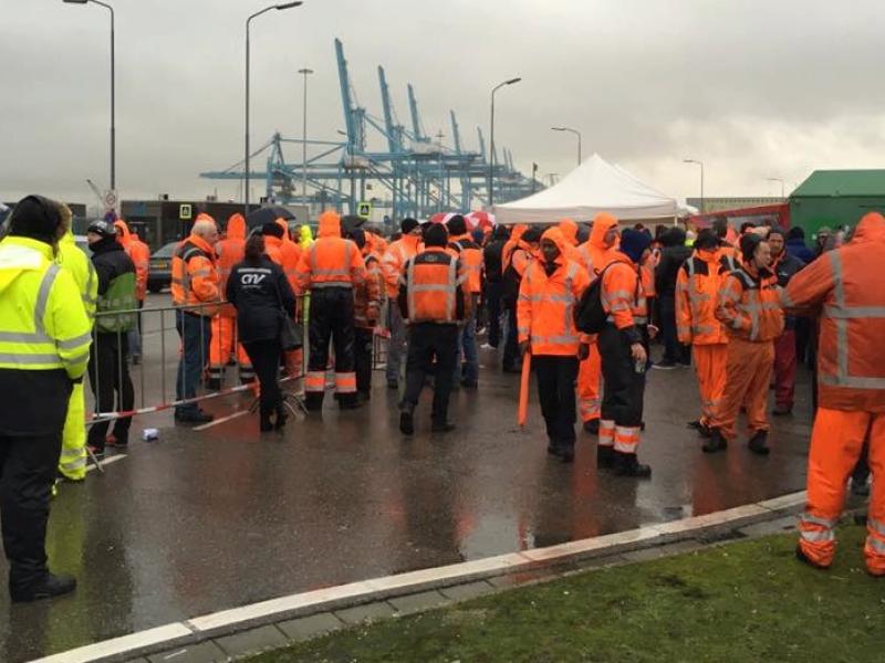 Hundreds of Dutch dockers braved the rain on the picket line