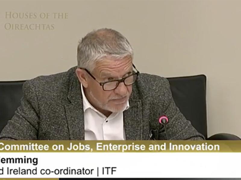 Ken Fleming gives testimony to Irish government committee